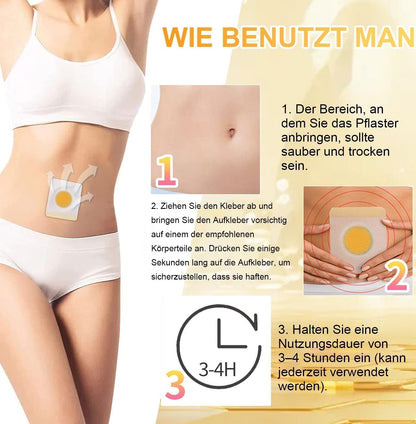 🌿🐝HYNAN™🌐🌐 Bienengift Wermut Detox Schlankheitspflaster【Empfohlen vom Arzt - Geeignet für Männer und Frauen】