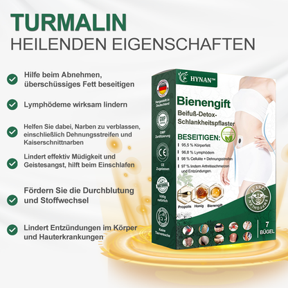 🌿🐝HYNAN™🌐🌐 Bienengift Wermut Detox Schlankheitspflaster【Empfohlen vom Arzt - Geeignet für Männer und Frauen】