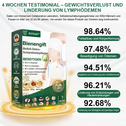 🌿🐝HYNAN™🌐🌐 Bienengift Wermut Detox Schlankheitspflaster【Empfohlen vom Arzt - Geeignet für Männer und Frauen】