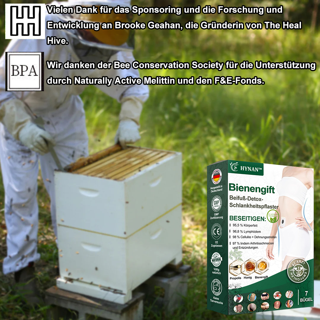 🌿🐝HYNAN™🌐🌐 Bienengift Wermut Detox Schlankheitspflaster【Empfohlen vom Arzt - Geeignet für Männer und Frauen】