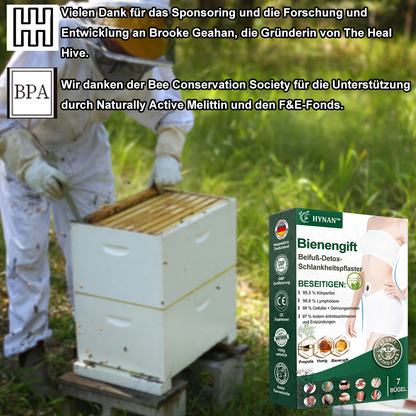 🌿🐝HYNAN™🌐🌐 Bienengift Wermut Detox Schlankheitspflaster【Empfohlen vom Arzt - Geeignet für Männer und Frauen】